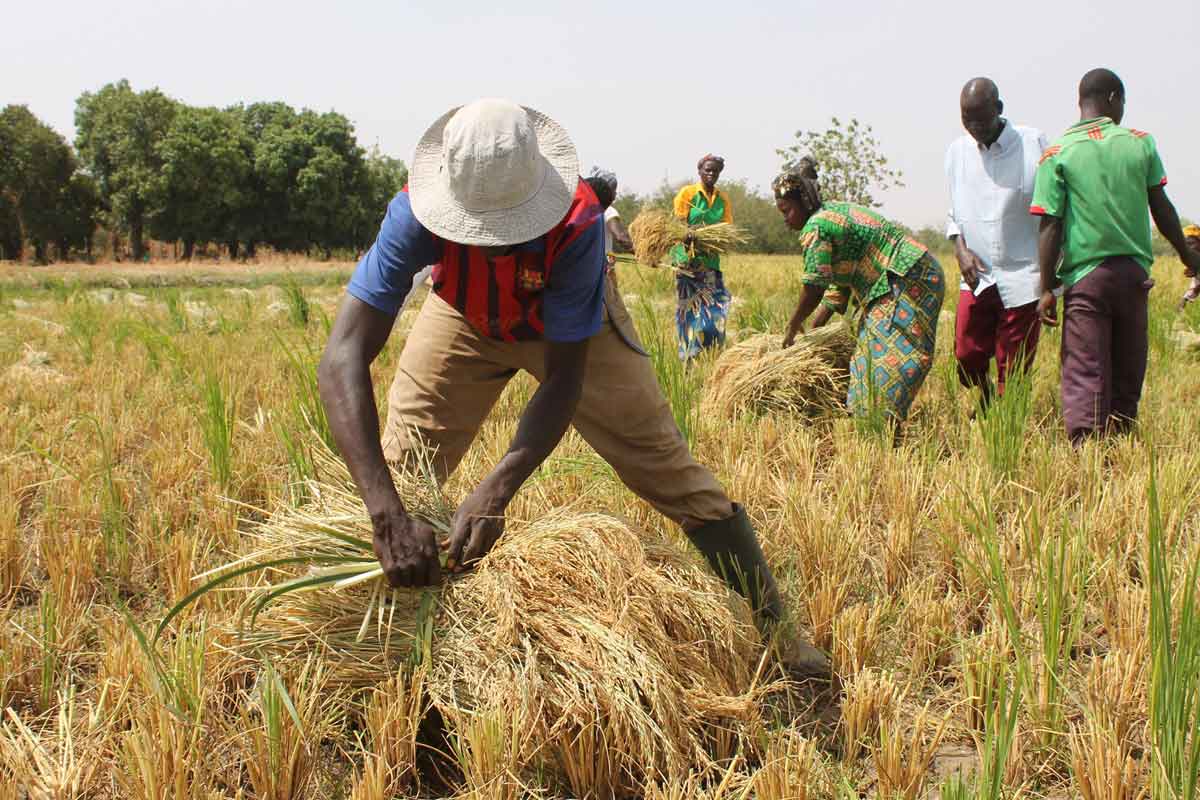 Venerdì un convegno per la formazione professionale sull’Africa