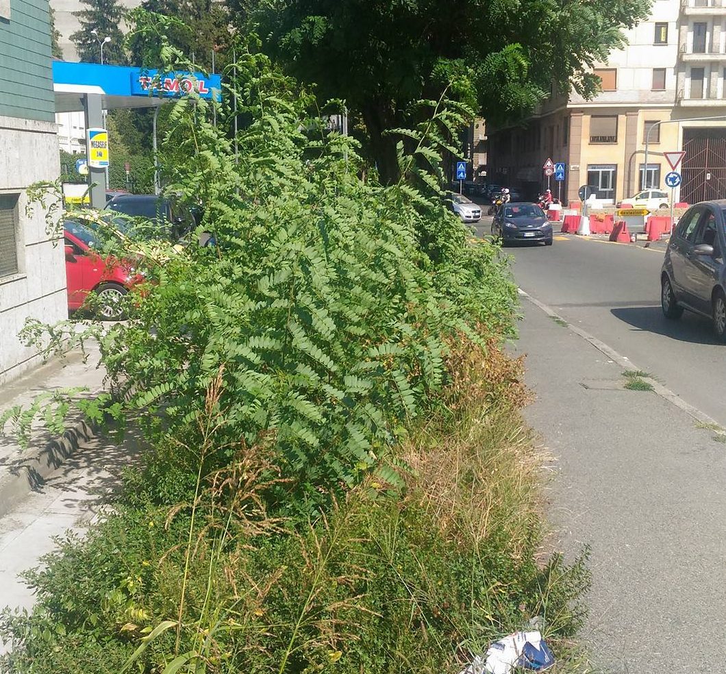 Alessandria: 130mila euro per la pulizia e il taglio dell’erba
