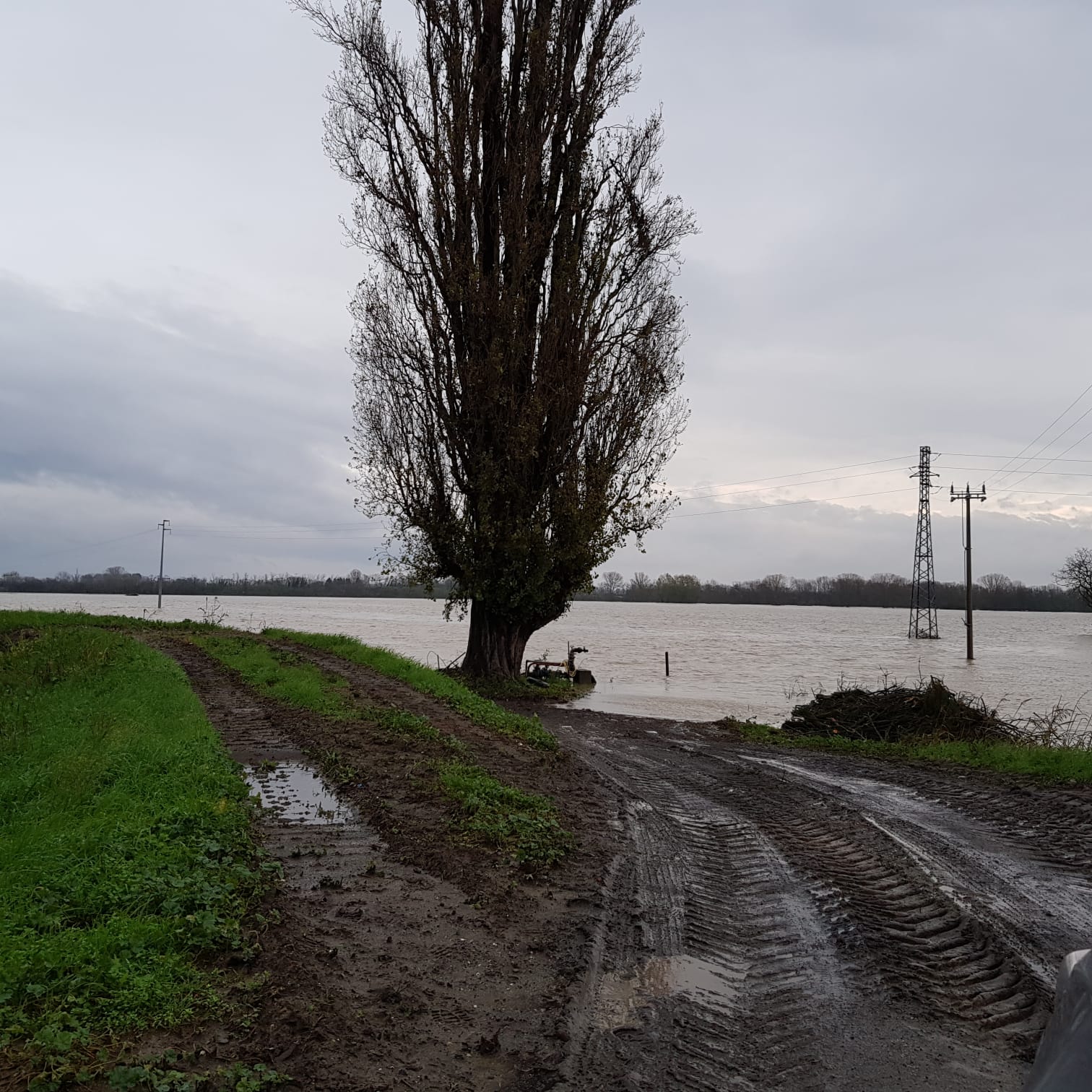 Le campagne alessandrine di nuovo soffocate dall’acqua