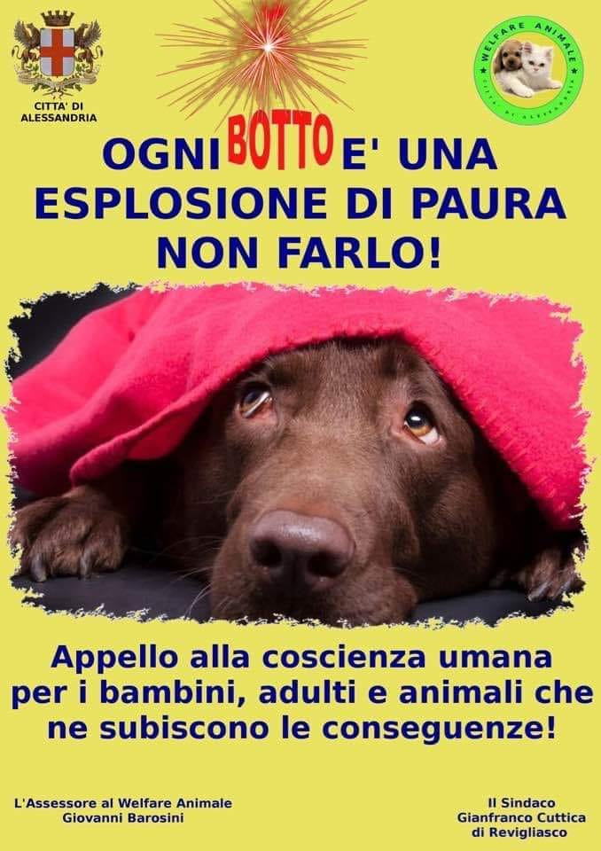 Alessandria festeggia Capodanno con giochi di luce senza “botti”