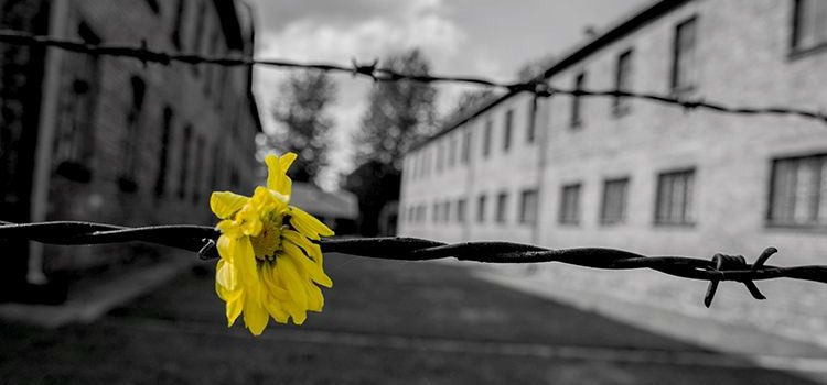 Il Balbo di Casale per la Memoria