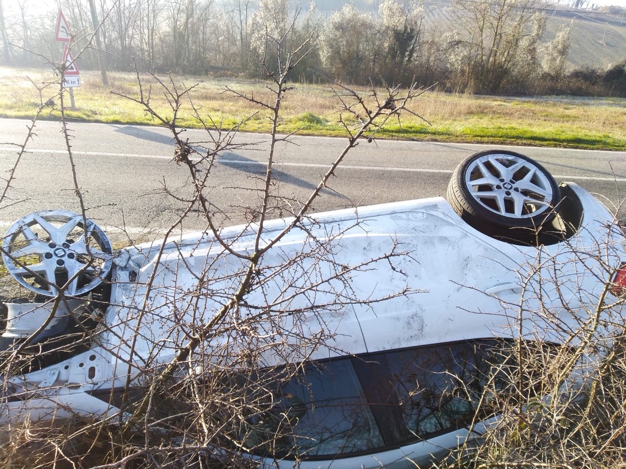 Impatto con un cinghiale e auto distrutta