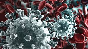 Coronavirus: psicosi immotivata a Novi per gruppo sportivo che ha corso a Portofino con atleta di Codogno