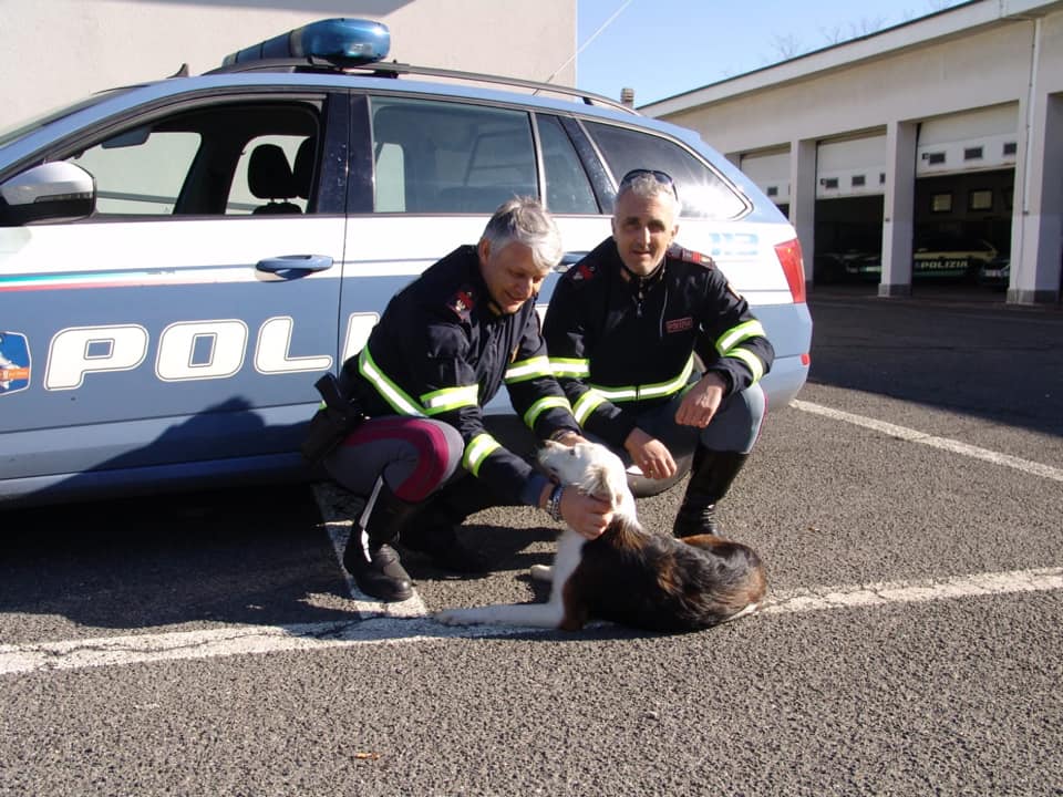 Grazie alla Polstrada recuperato e restituito al proprietario un cane sulla A26