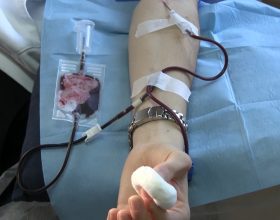 Donazioni sangue, Avis: “In calo perché mancano medici e infermieri ma nel 2021 137 donatori in più”