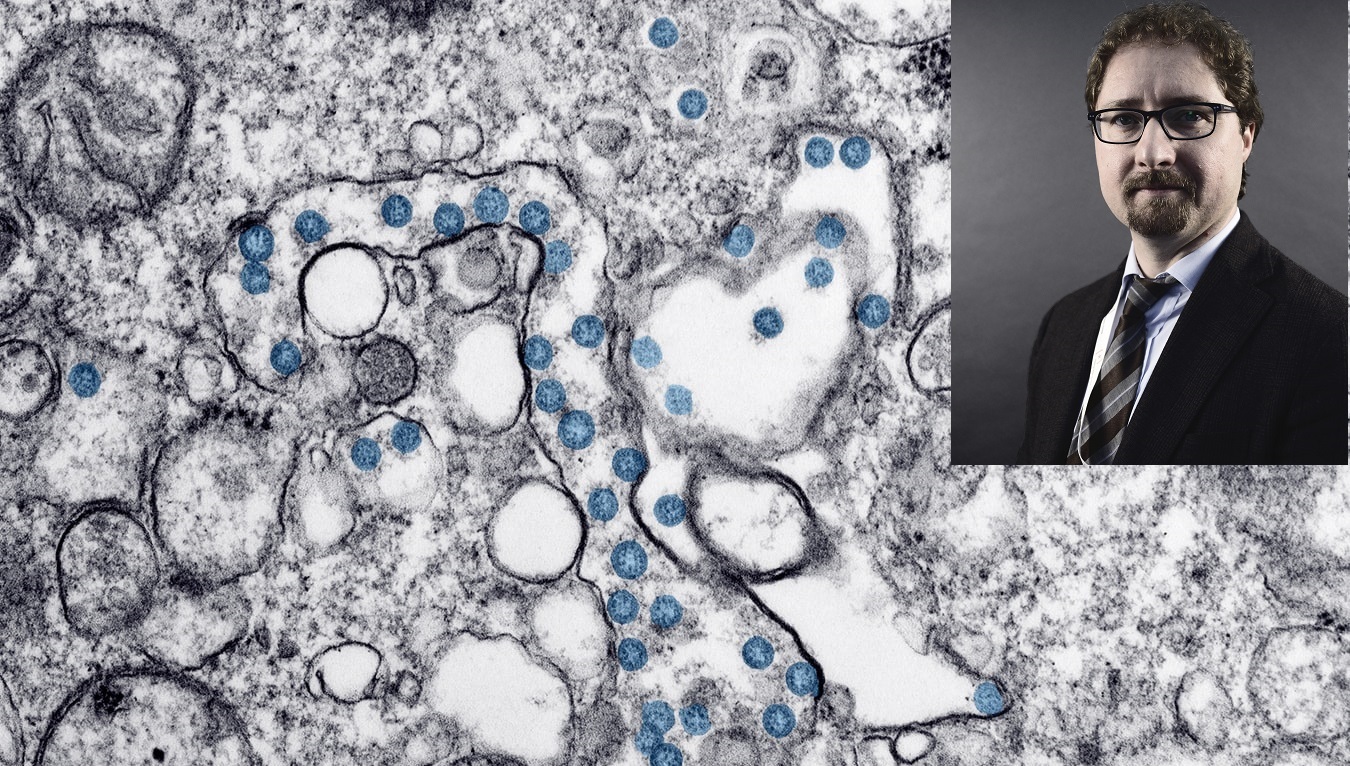L’evoluzionista Pievani: “Covid-19 come influenza? Tra anni. In natura virus anche più pericolosi, impariamo dai nostri errori”