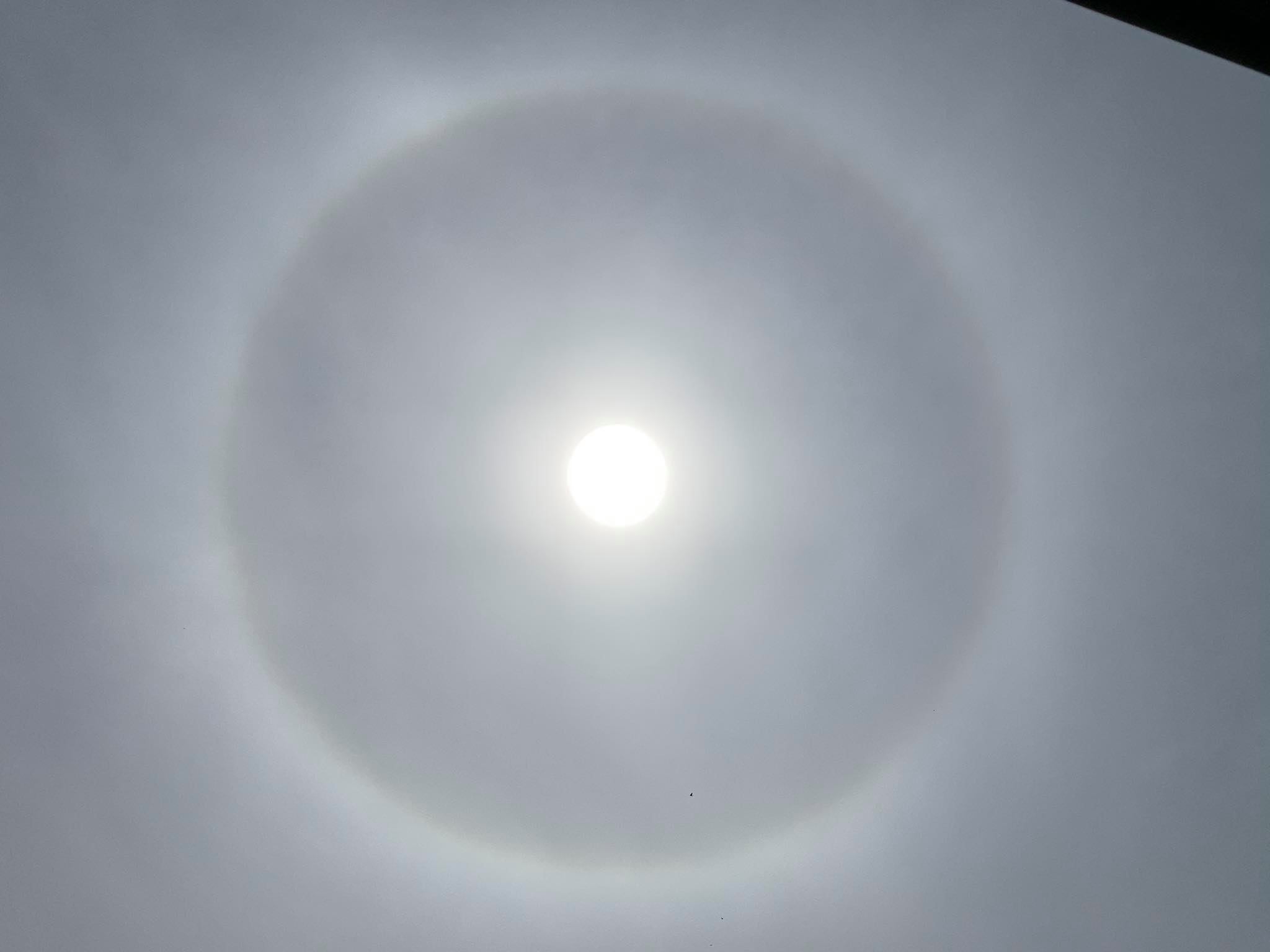 Anche ad Alessandria è visibile lo spettacolare Alone che circonda il Sole