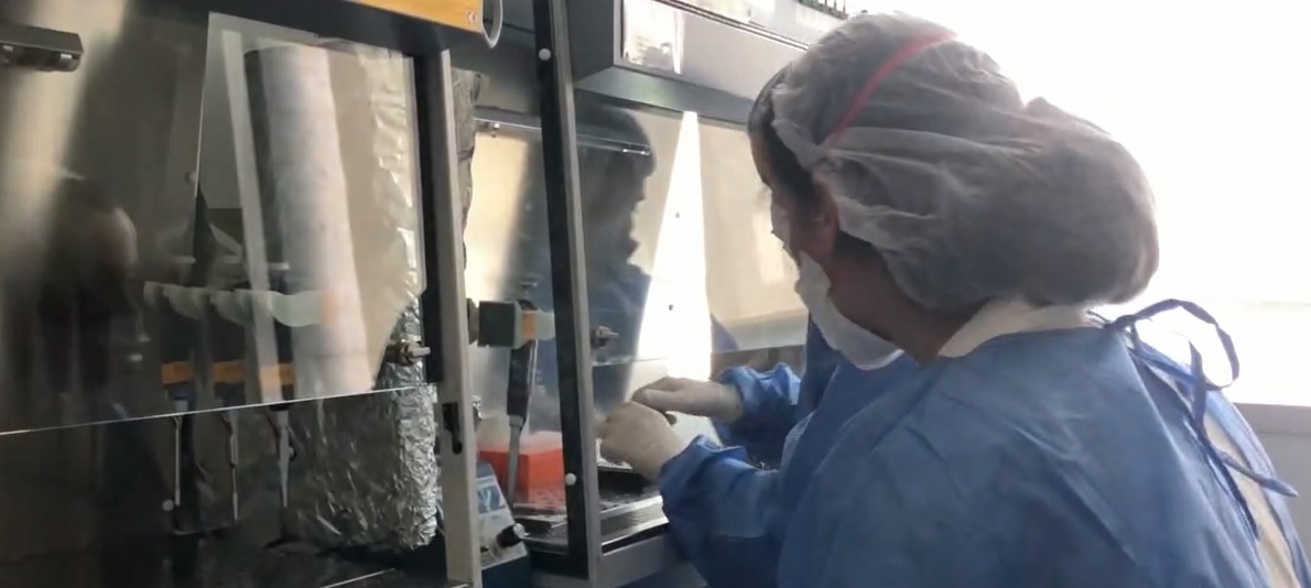 Coronavirus: pronti i kit per i tamponi, grazie anche all’Università Piemonte Orientale