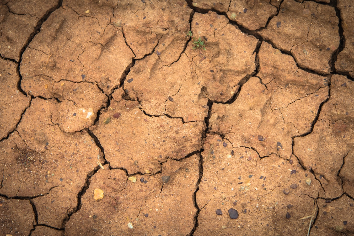 Siccità, Regione Piemonte: “Da impianti idroelettrici 38 m3 di acqua per 15 giorni, la metà del fabbisogno”