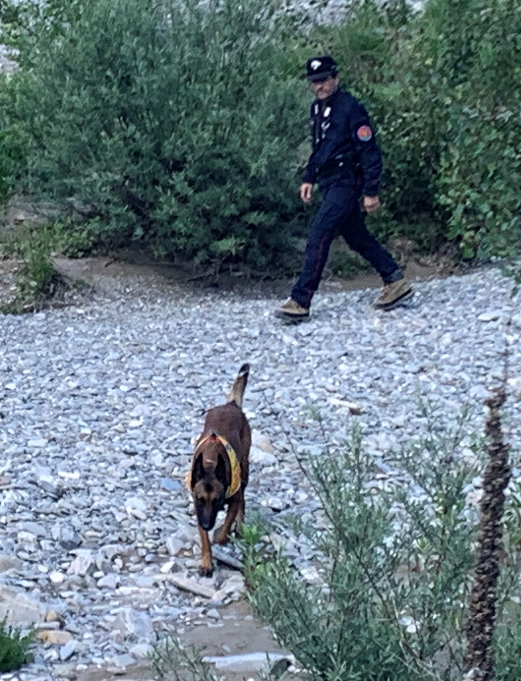 Carabinieri bonificano l’area del torrente Borbera a Borghetto dopo il decesso di un cane per avvelenamento