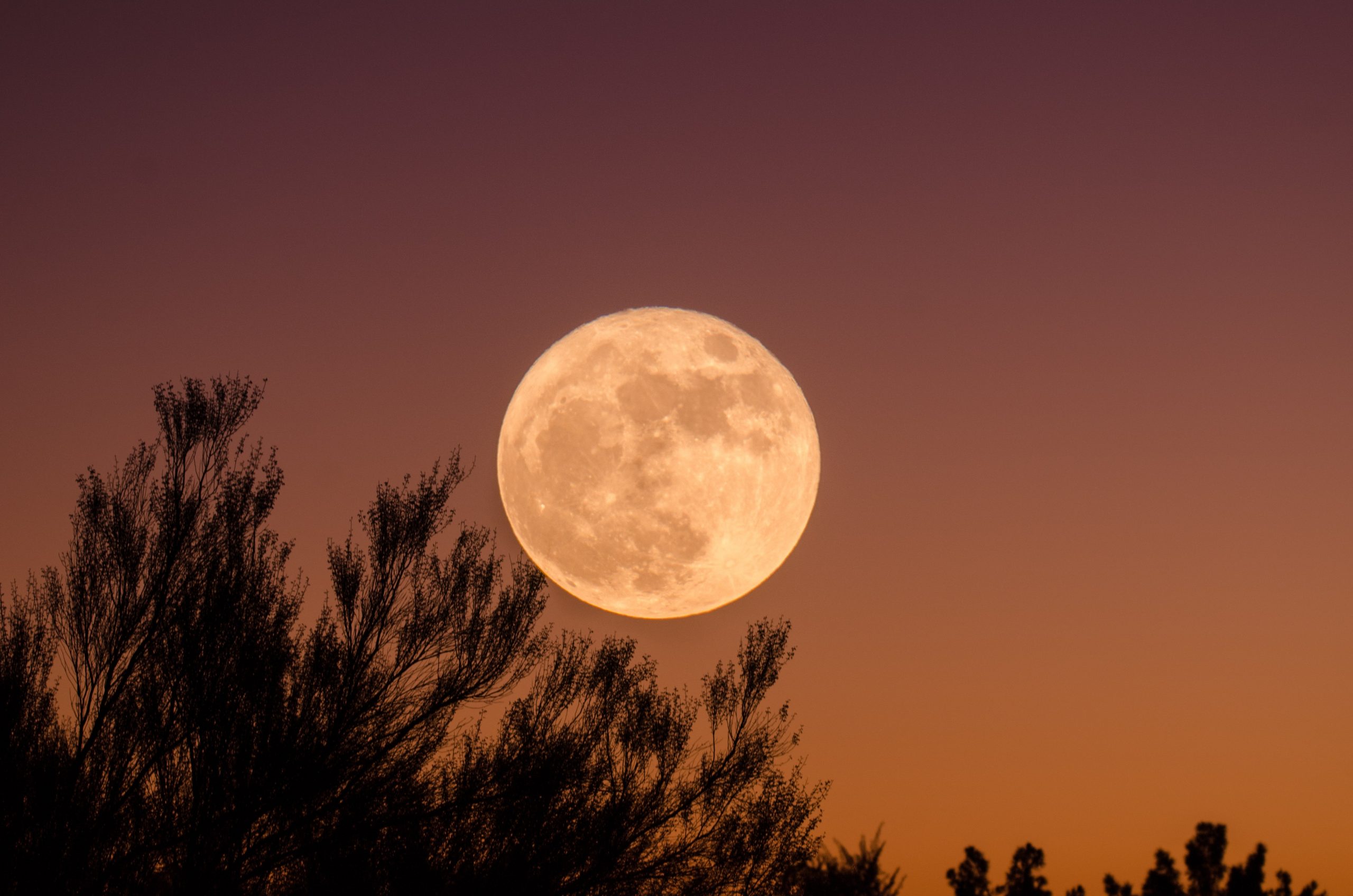 Questa sera arriva la superluna. È la quarta e ultima di questo 2020