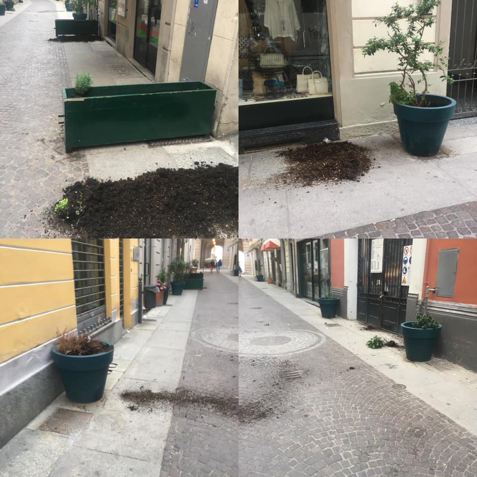 Vasi e fioriere svuotati in via Ferrara: atto vandalico ad Alessandria