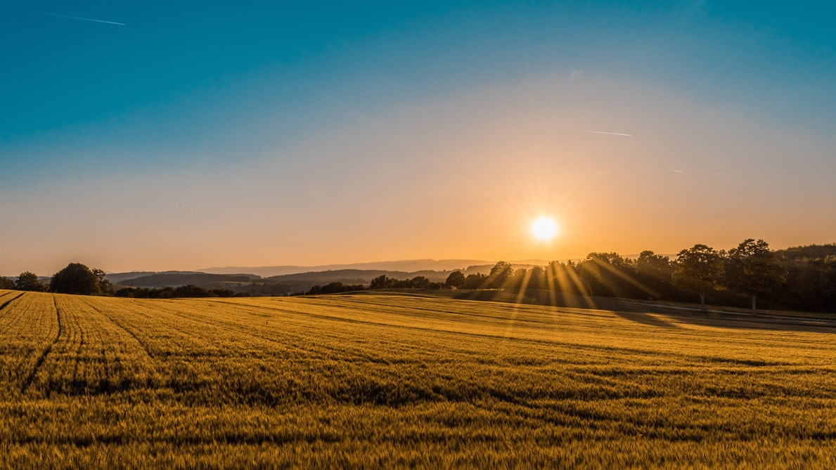 A Mirabello Monferrato un concerto all’alba per salutare l’arrivo dell’estate