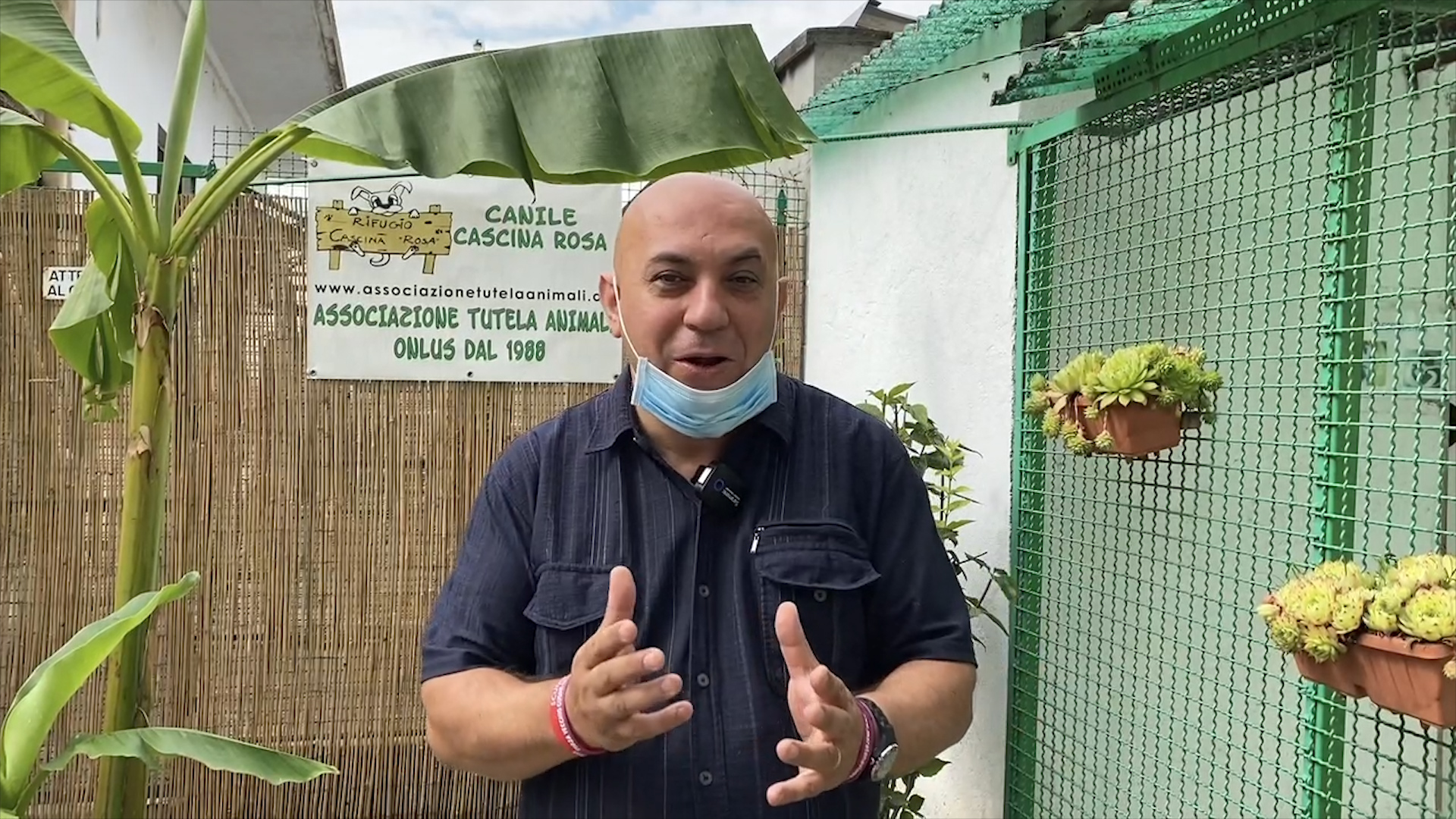 Su RadioGold Tv al via la trasmissione dedicata ai cani e ai gatti “Non abbandonarmi”
