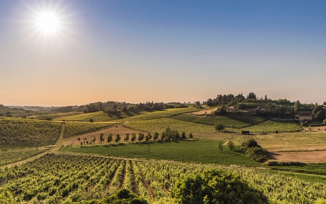 Ville e case di lusso nel Monferrato sempre più attraenti: Prasco, Gavi e Cremolino i comuni preferiti