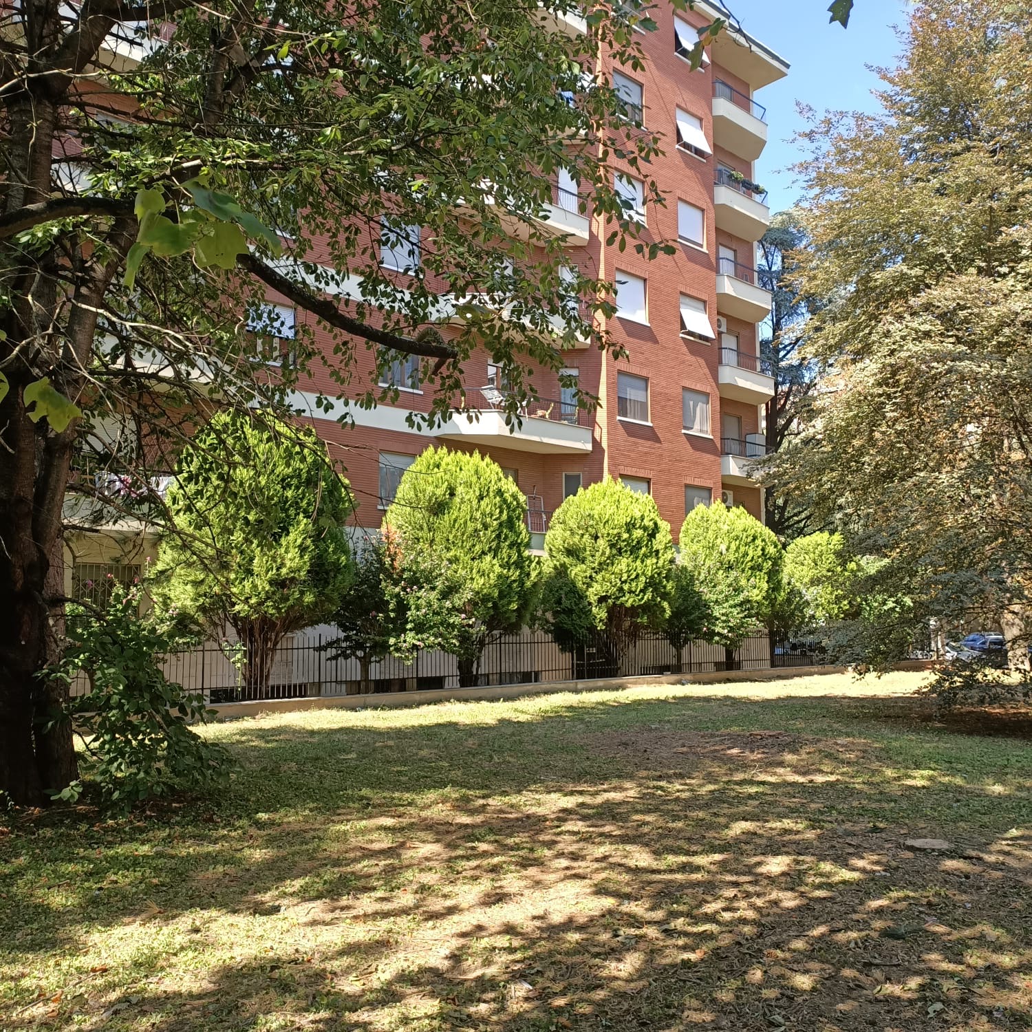 Abbattuti al quartiere Europa cinque alberi a rischio crollo: Telenergia ne pianterà 15