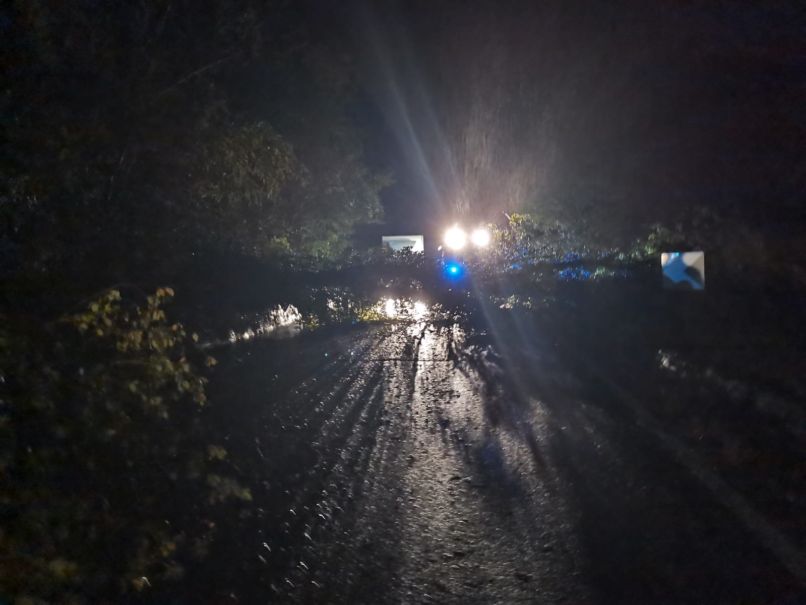 Notte impegnativa per allagamenti e alberi caduti in tutta la provincia