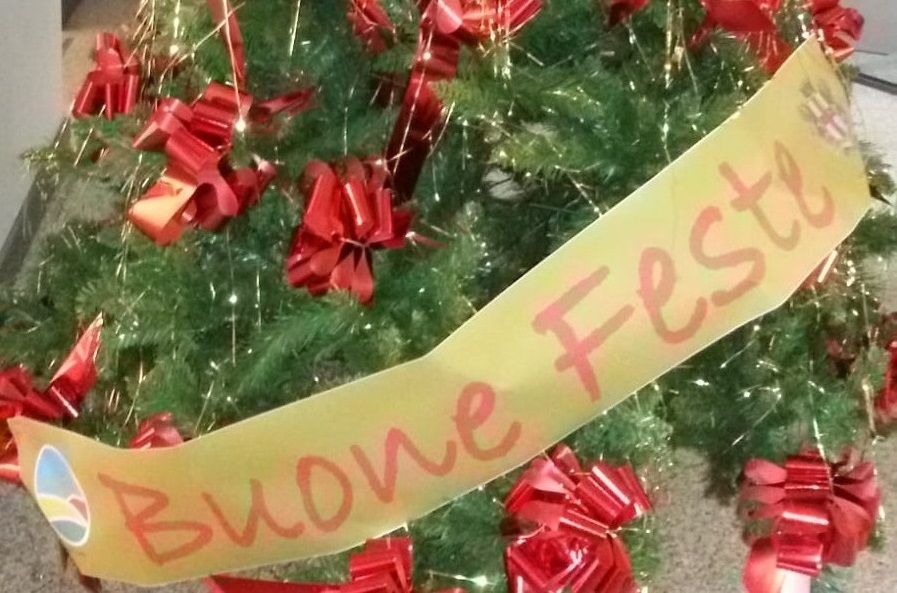 Gruppo Amag: consegnati in due anni 17 alberi di Natale ai sobborghi alessandrini