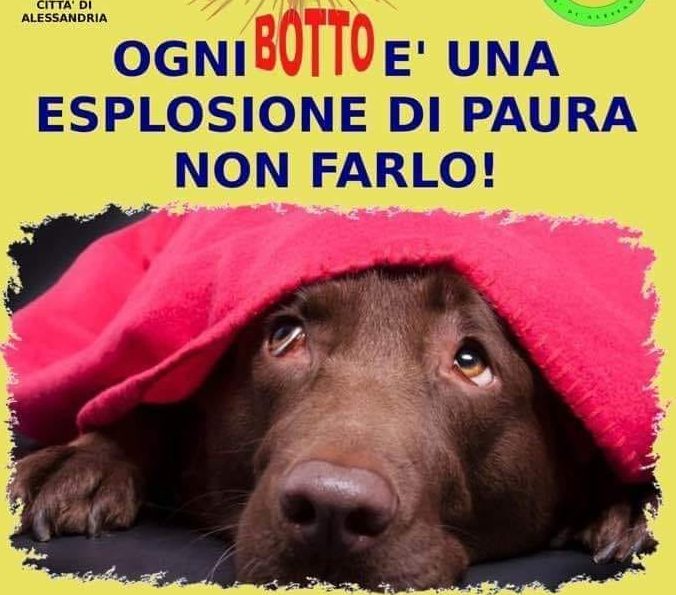 Barosini contro botti e petardi: “Scoraggiamo chi compie questi atti di violenza”