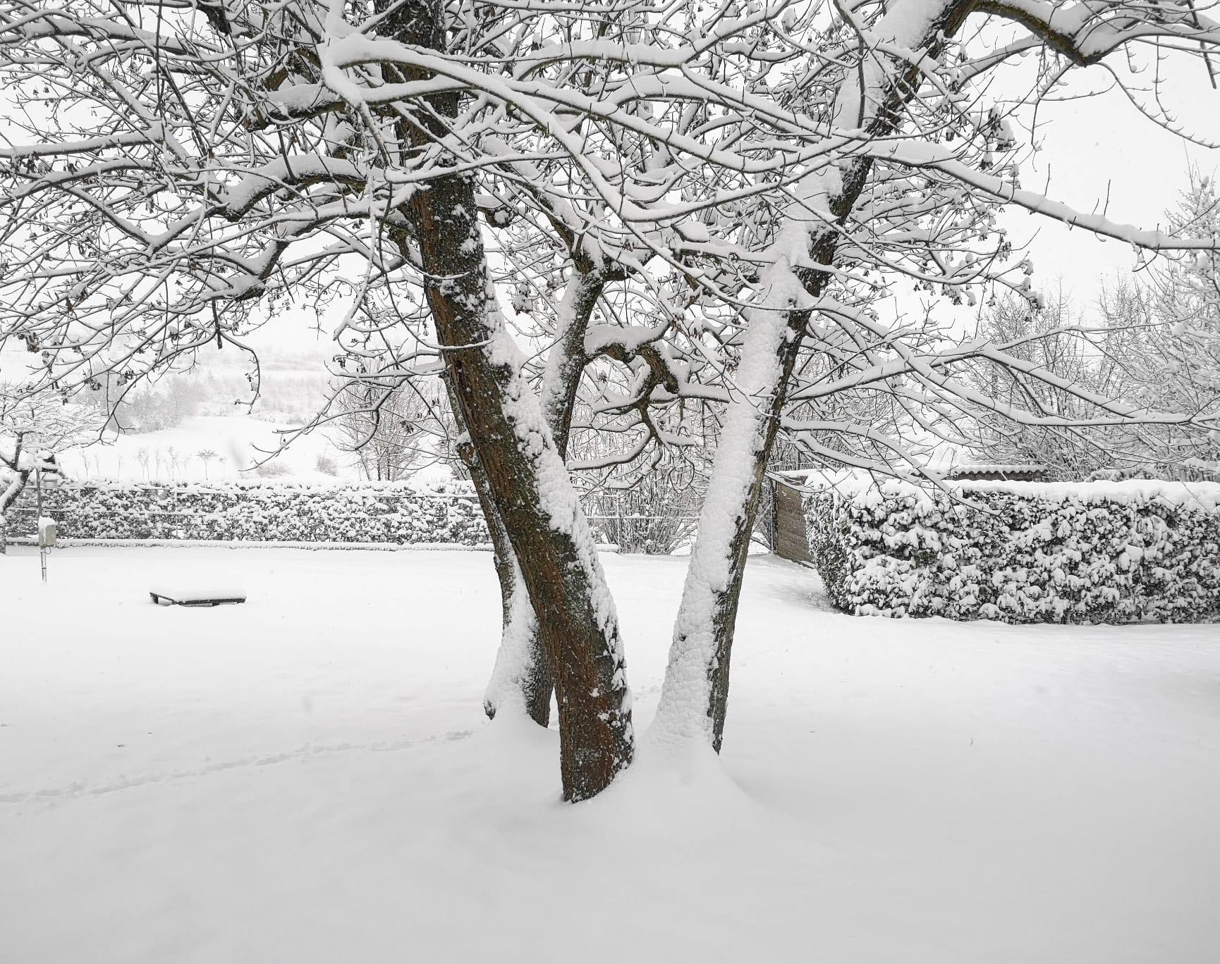Il 2021 inizierà sotto la neve: venerdì allerta gialla in provincia