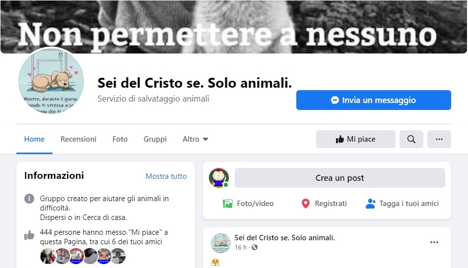 Il Quartiere Cristo si racconta sui social: l’ultima novità è una pagina sugli animali