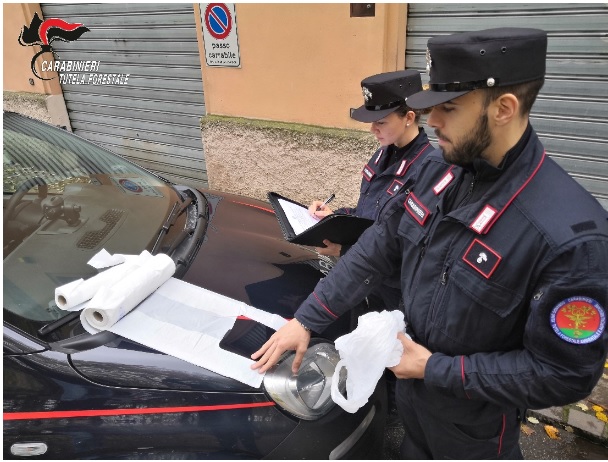 Controlli dei Carabinieri forestali: diecimila euro per borse non ecologiche