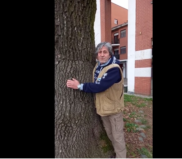 Comune taglia quercia al Cristo. Cittadino pronto a incatenarsi alla pianta
