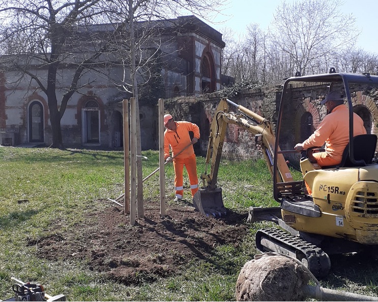 A Casale 180 nuovi alberi, taglio dell’erba e sistemazione aree gioco