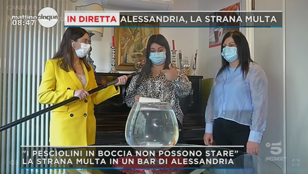 Dopo la multa per i pesci rossi il Bar Invidia 97 finisce anche a Mattino 5