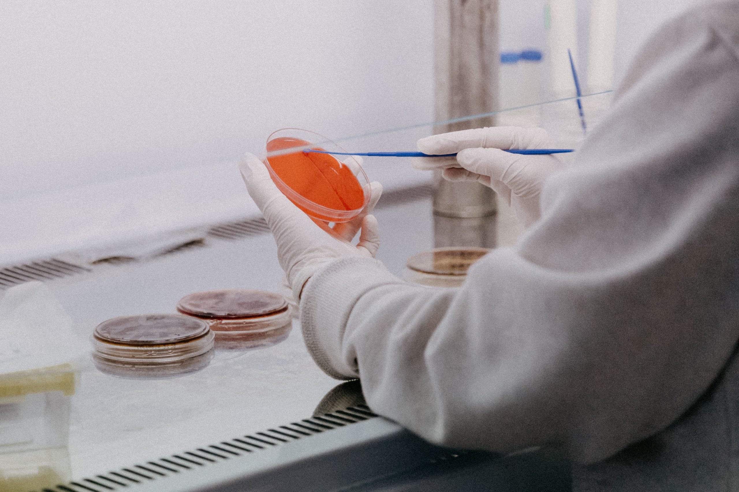 Bollettino coronavirus: in Piemonte 3290 nuovi contagi e otto decessi