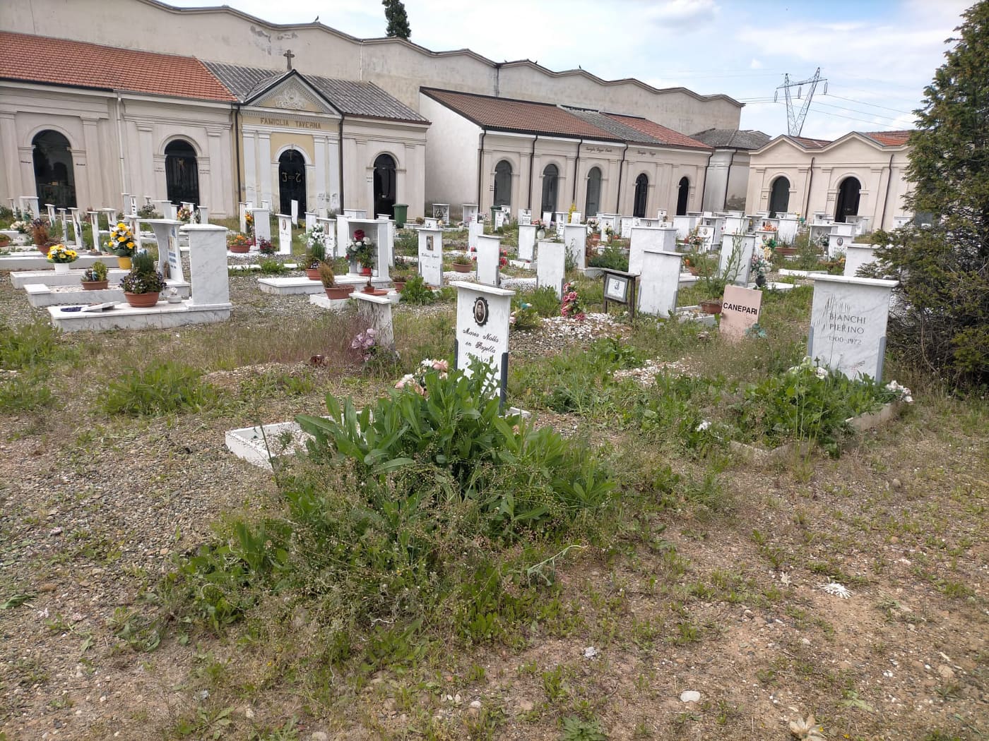 Cimiteri di Alessandria: troppi problemi e disservizi, il Comune licenzia la ditta