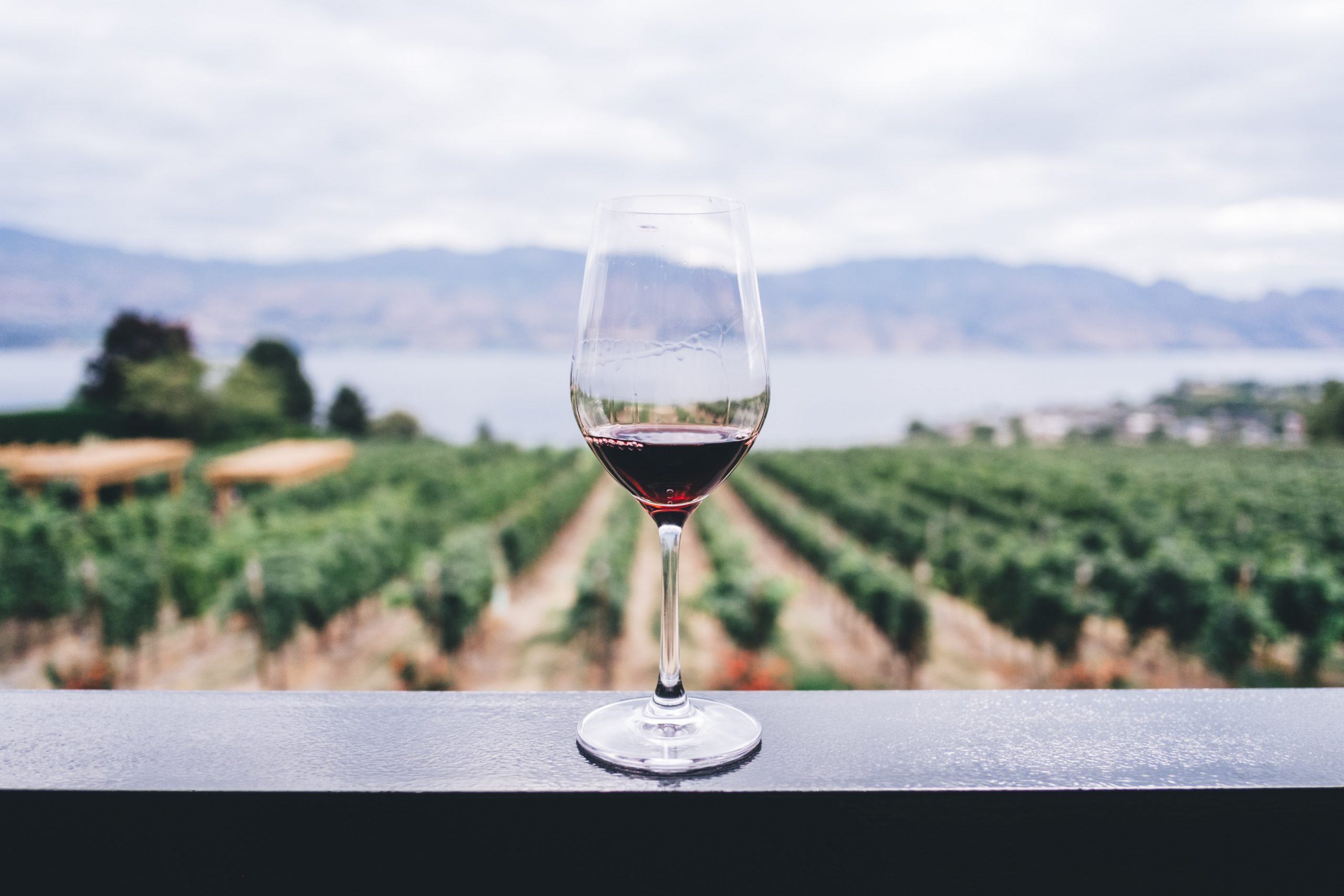 Un corso per diventare assaggiatori di vino: ecco la proposta dell’Onav