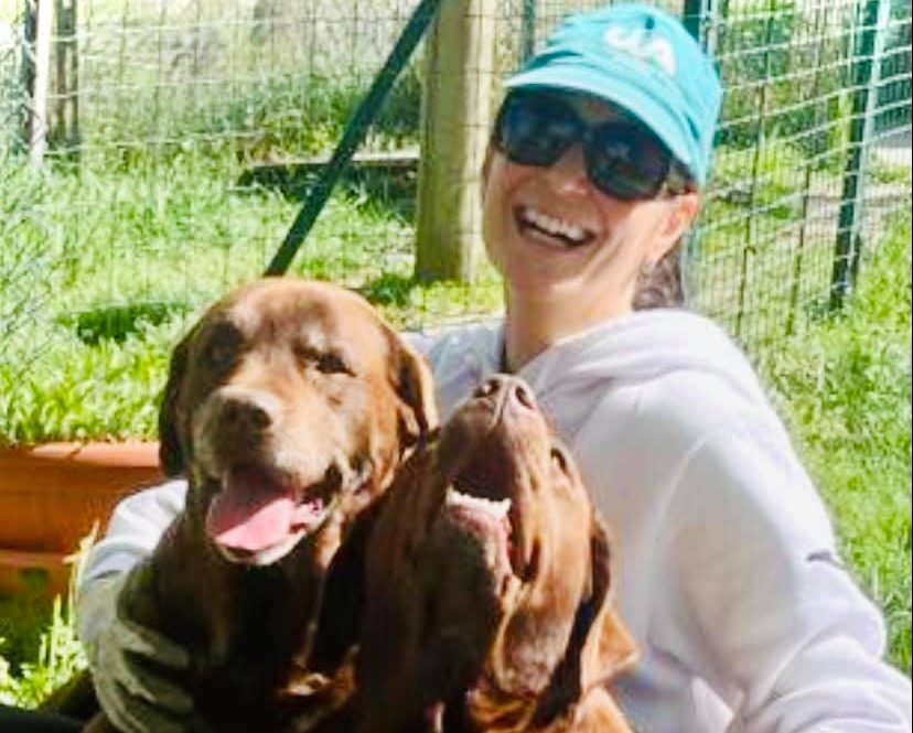 Giornata mondiale cani in ufficio: la Cia invita i dipendenti a portare gli amici a 4 zampe al lavoro
