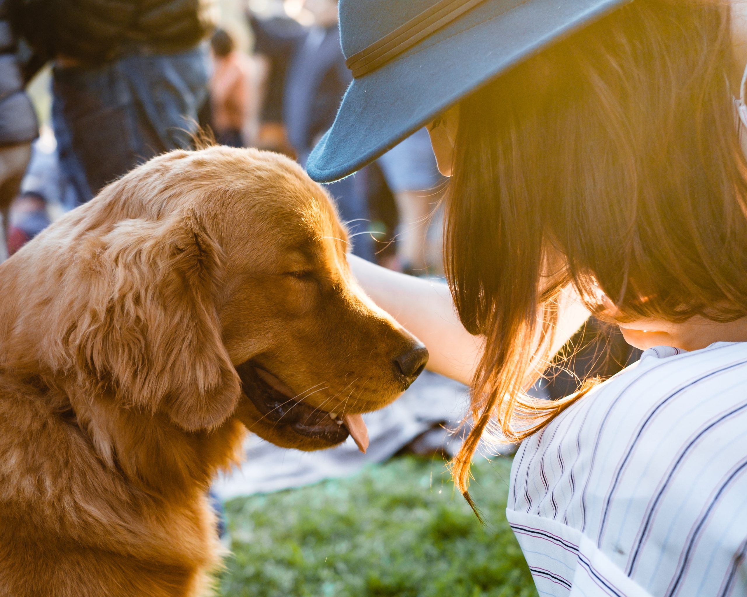 In Piemonte il dog sitter diventa una professione: la Regione approva una legge