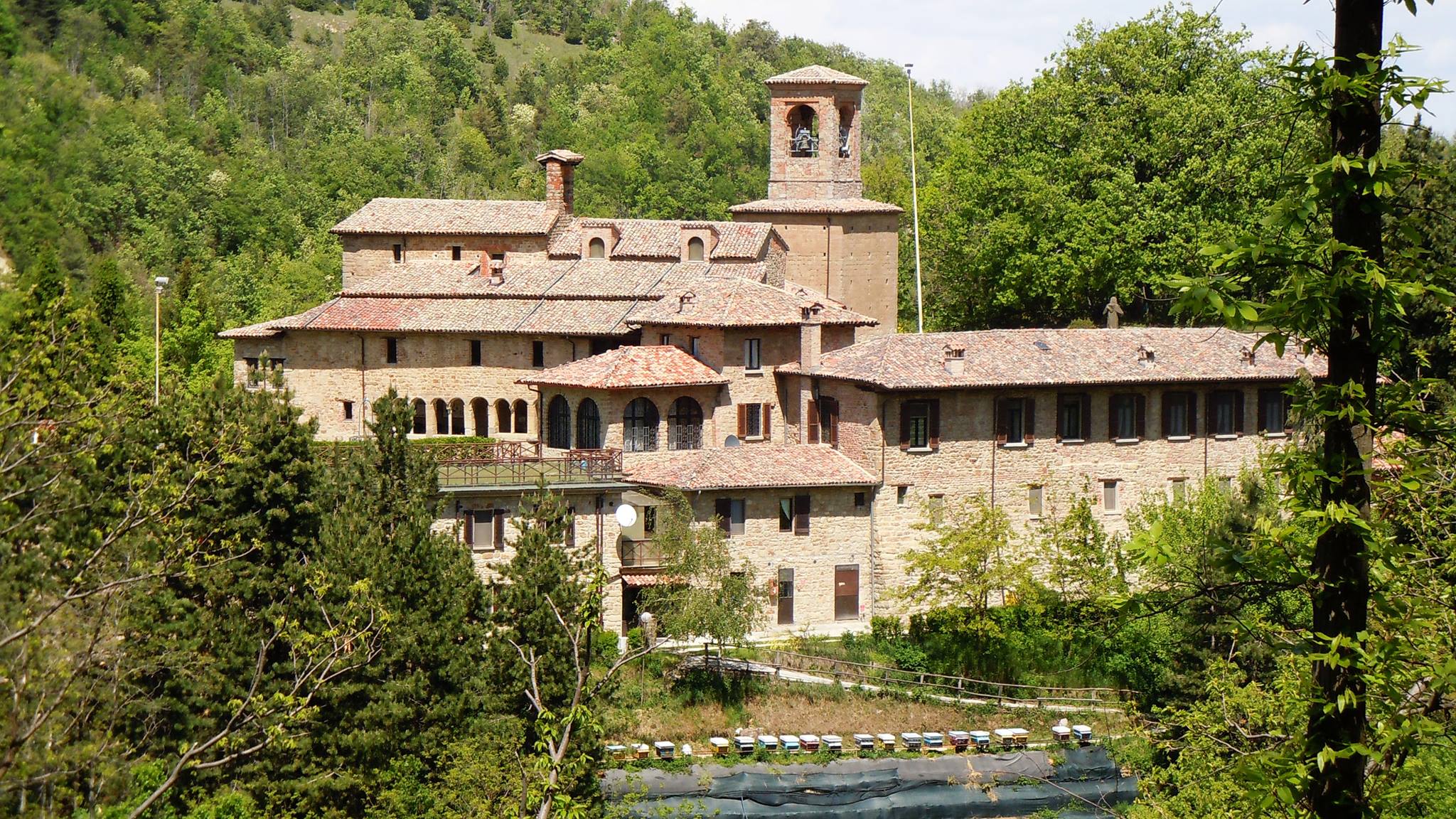 Da Pertuso a Sant’Alberto di Butrio, camminando nei boschi pavesi