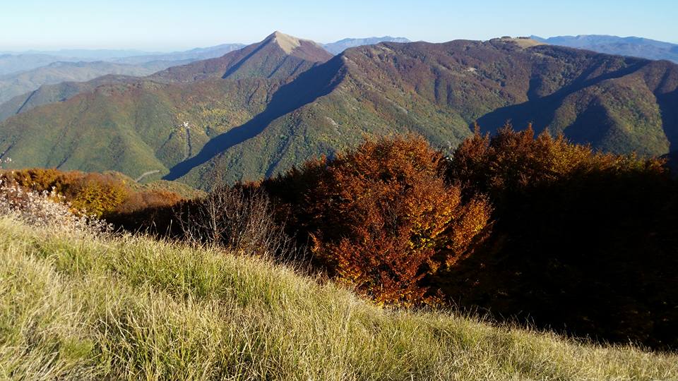Camminando nel Medioevo: sui passi dei pellegrini in Val Tidone