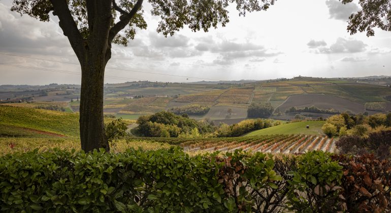 Nasce la Strada del Vino GranMonferrato, la più lunga d’Italia: quasi 700 km e più di 100 Comuni