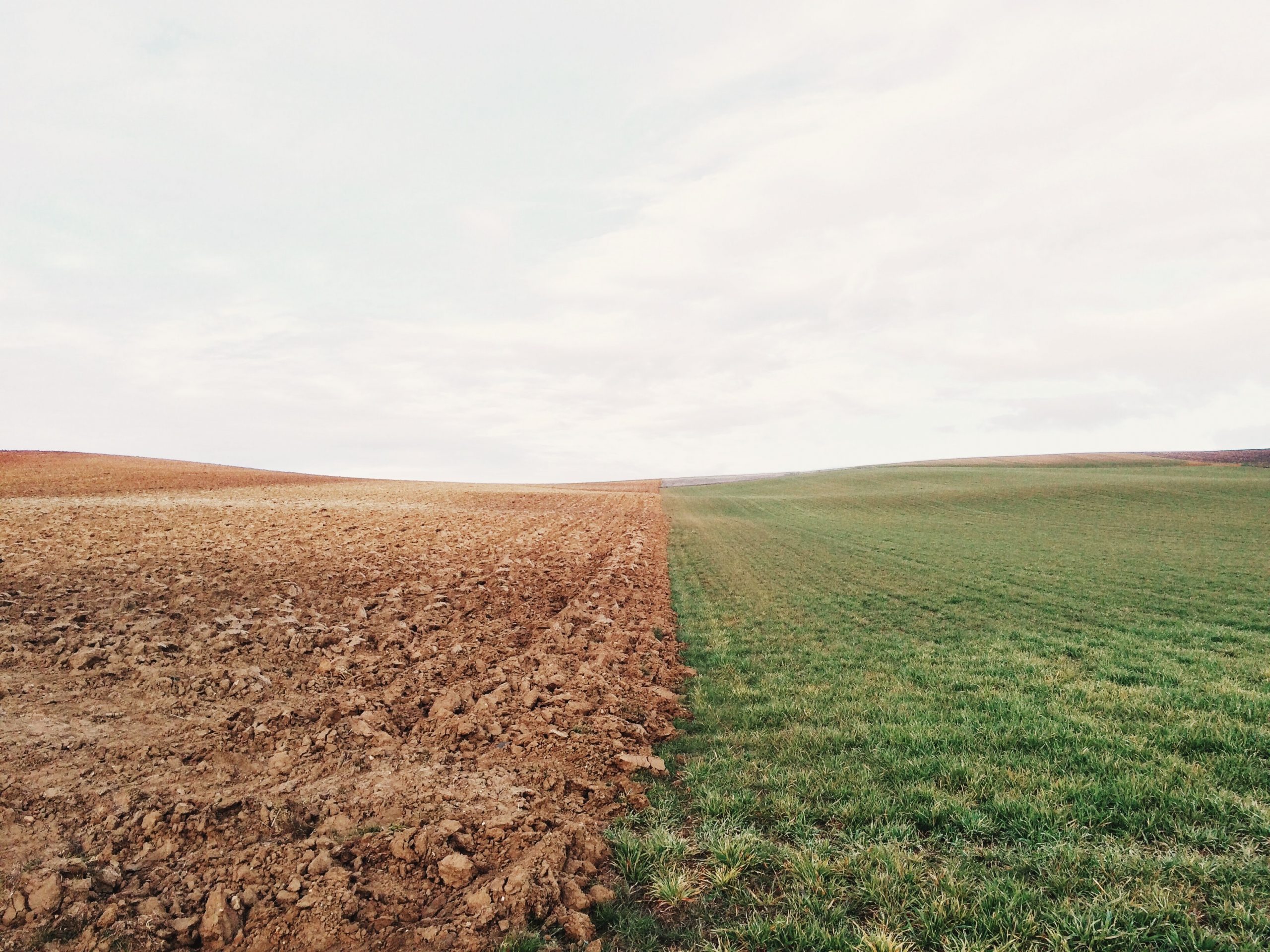 Oggi è l’Earth Overshoot Day: finite le risorse della Terra del 2021
