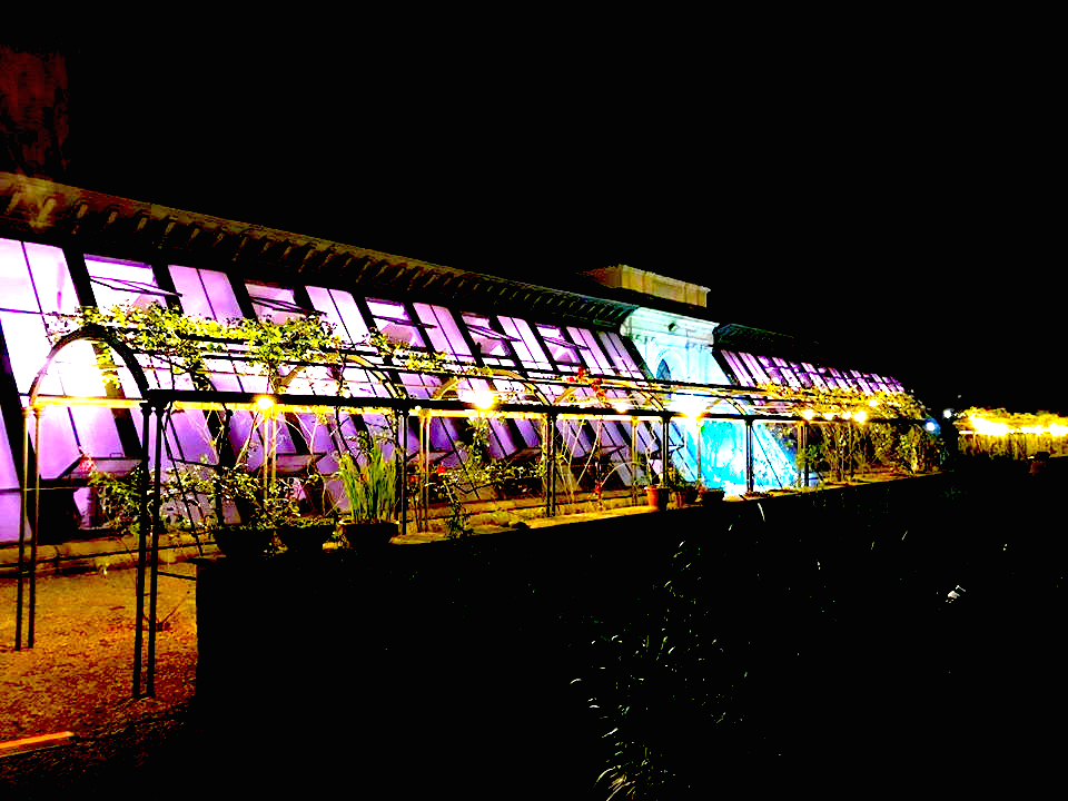 Orto Botanico in notturna, tornano le visite guidate