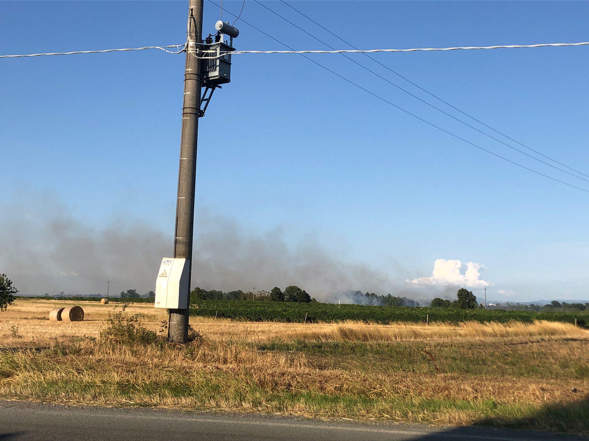 Vasto incendio di sterpaglie a Predosa: intervento durato ore