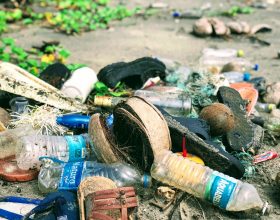 Abbandona la spazzatura sulla riva di un Rio a Francavilla Bisio: inchiodato dalle telecamere