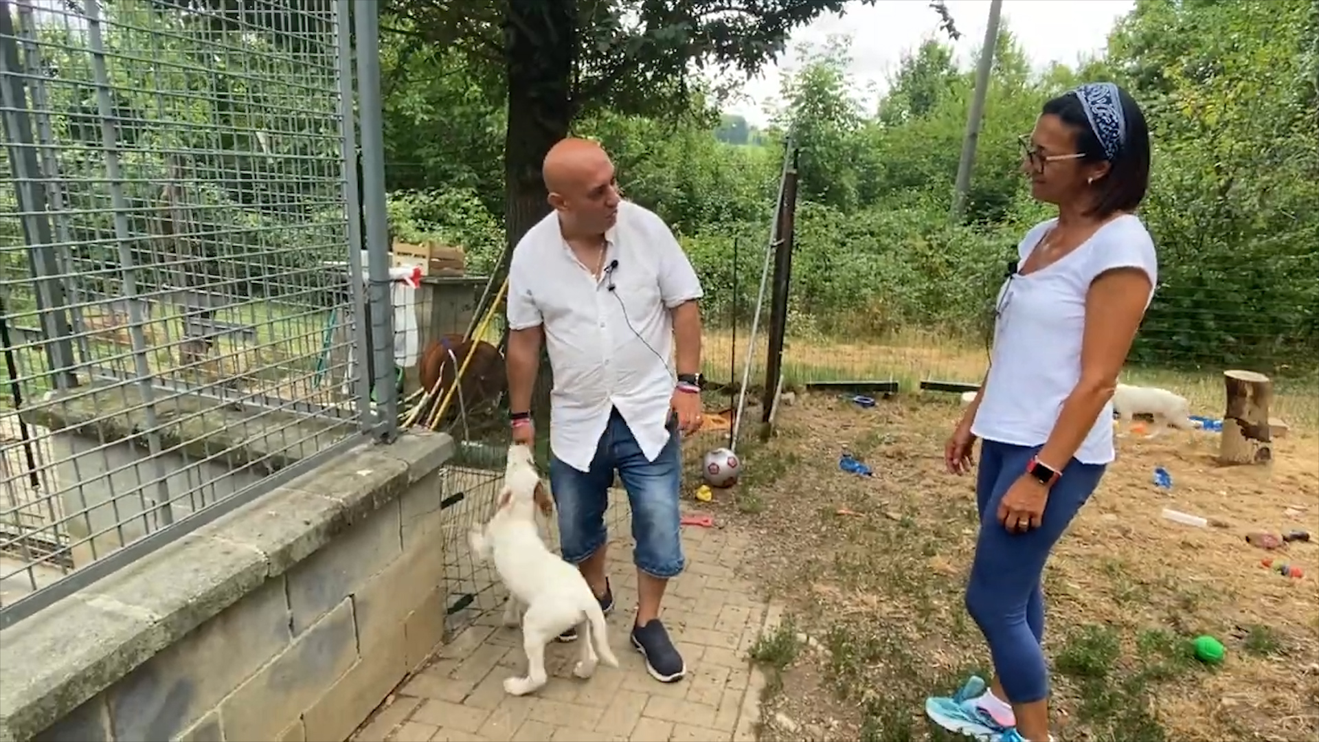 Non abbandonarmi alla Casa di Licia, alla scoperta dei cani “speciali”