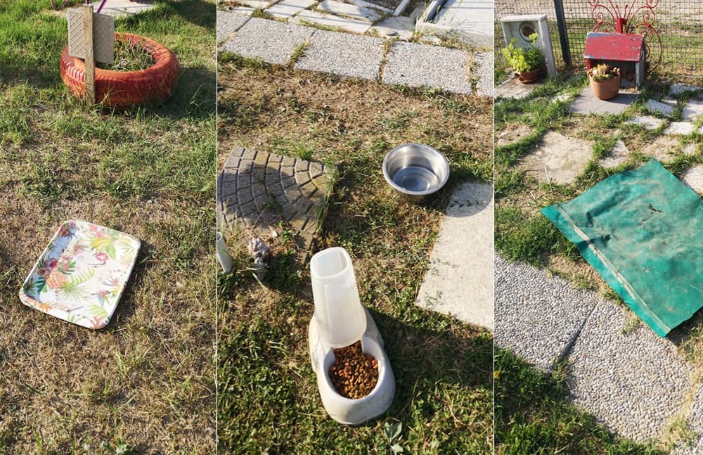 Il cimiterino degli animali nuovamente vandalizzato: “Ostaggi di alcuni tossici”