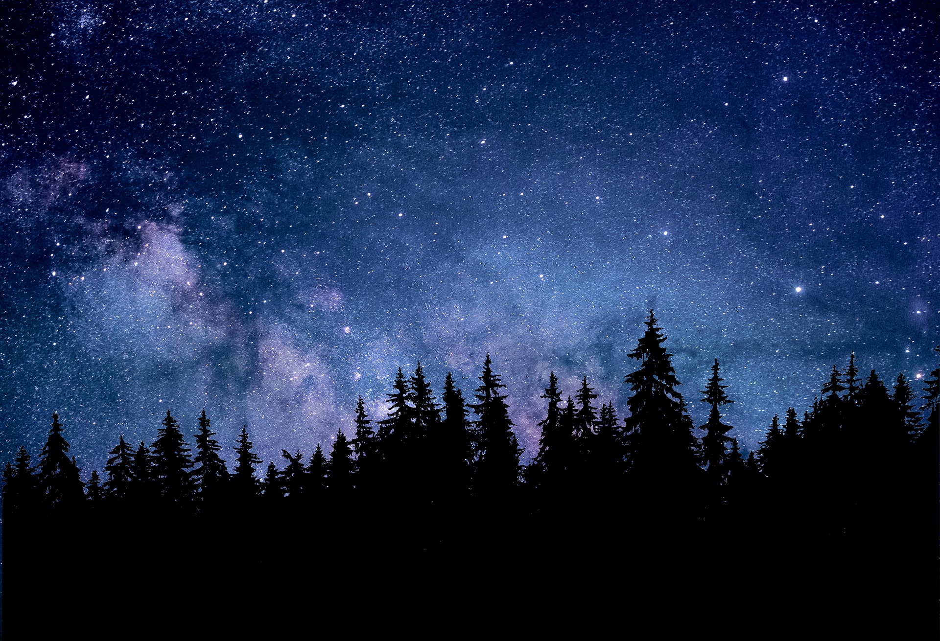 Al Bosco del Vignolo si “esce per riveder le stelle”