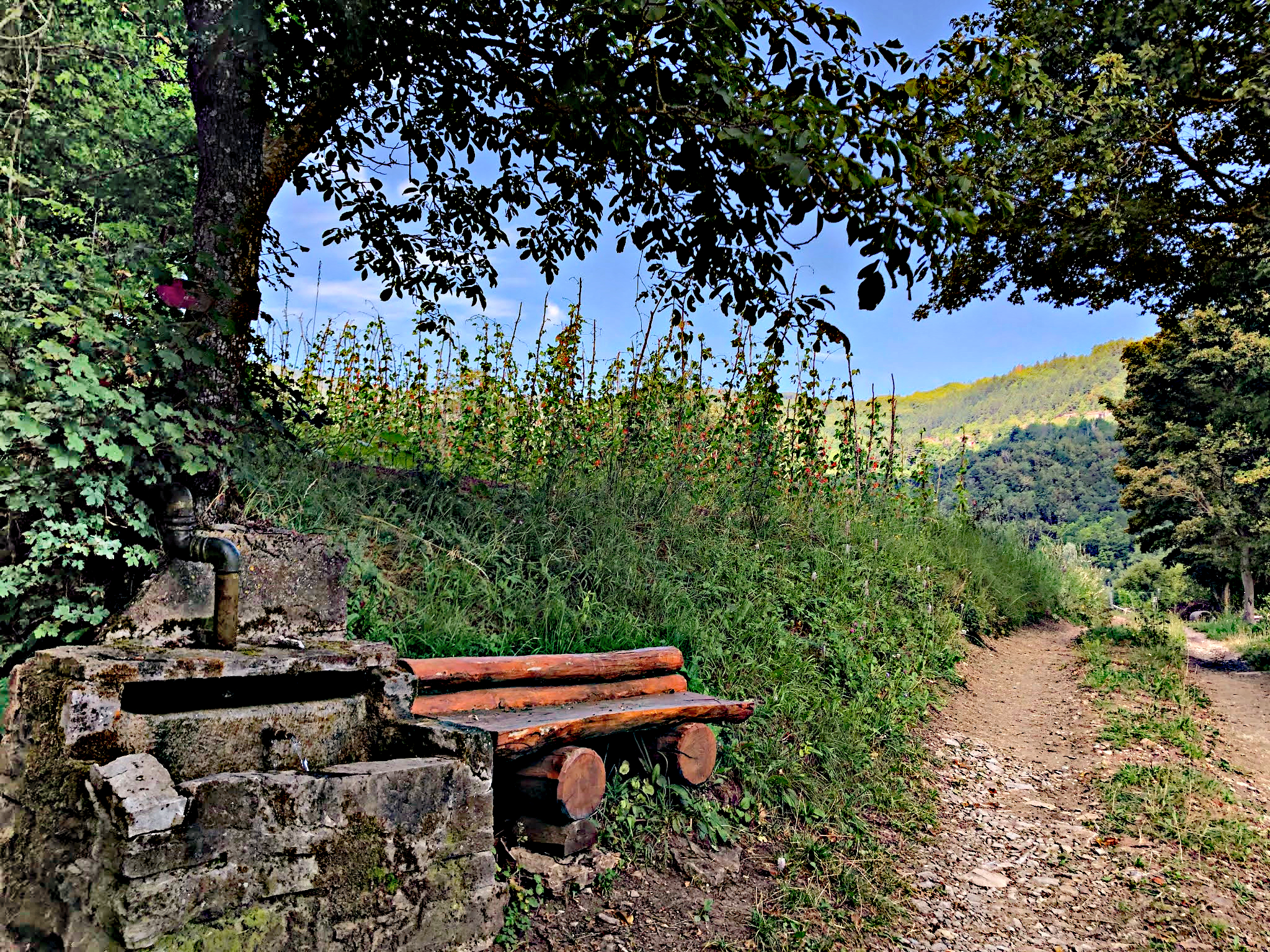 Gastrotrekking e polenta a Romagnese, in Val Tidone