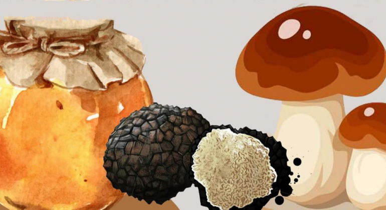 La Grande Sagra a Zavattarello: miele, tartufi e funghi