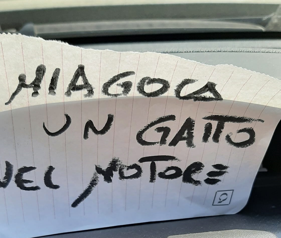 “Attenta, miagola un gatto nel motore”: un biglietto ha salvato la vita a un micio intraprendente