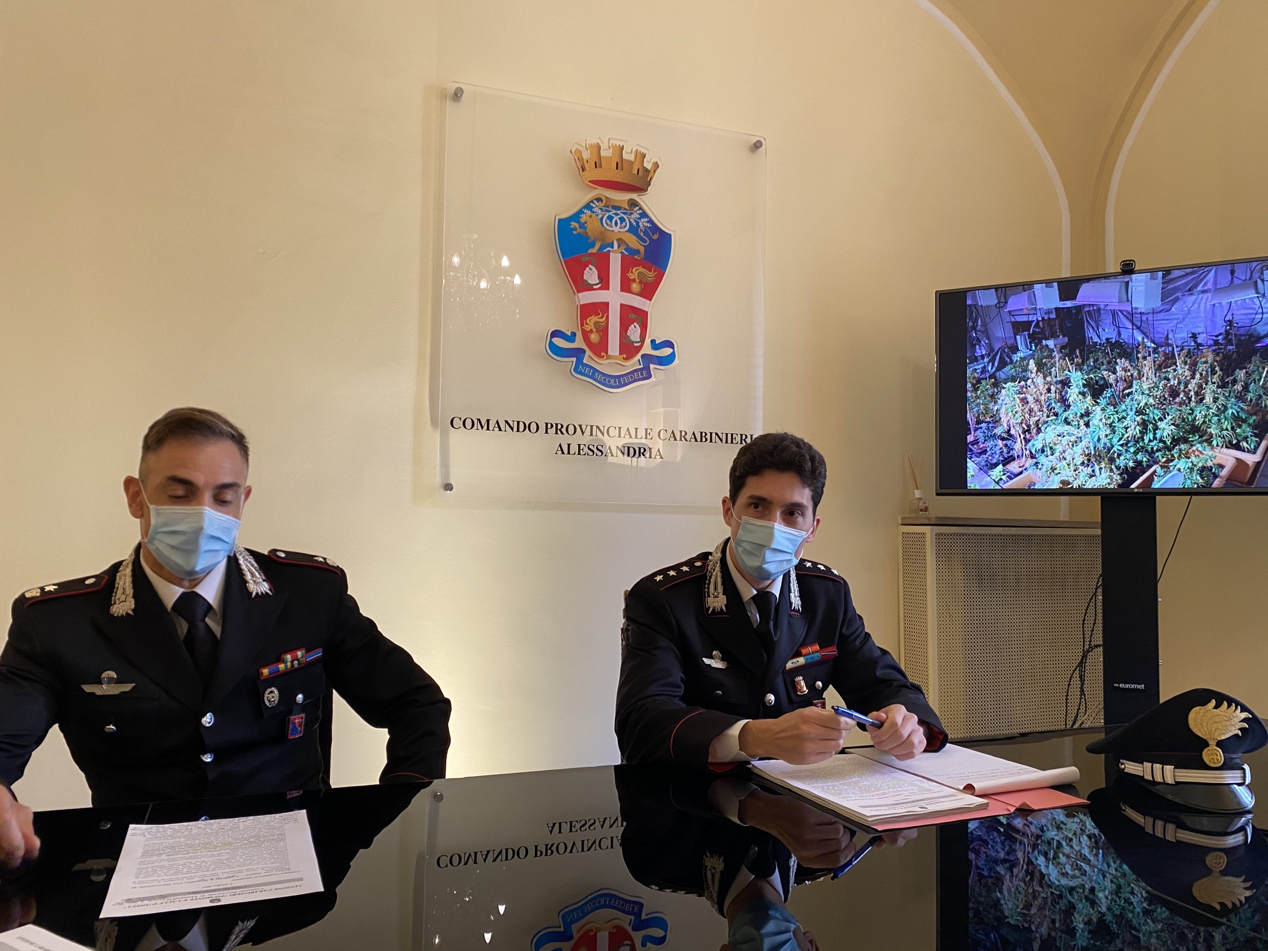 Carabinieri scoprono coltivazione di marijuana in un cascinale, dove 200 piante crescevano sulle note di Vivaldi