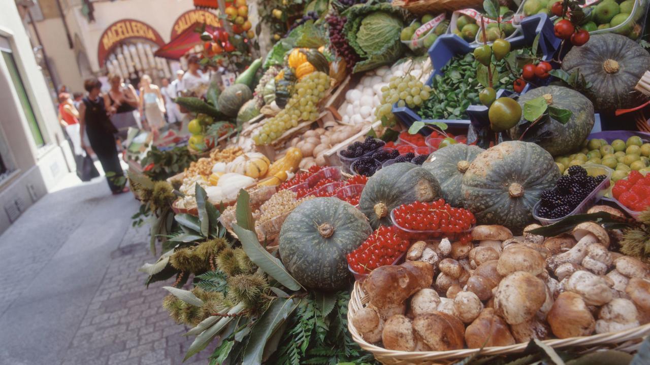 Cosa fare in provincia di Alessandria. Gli eventi di domenica 24 ottobre