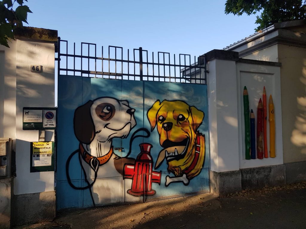 Appello dal canile di Alessandria: servono coperte, fieno e volontari